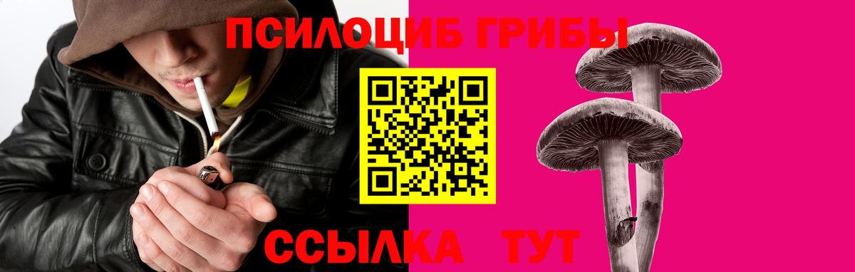 Галлюциногенные грибы мицелий  Вход с VPN  Елец 